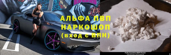 герыч Корсаков